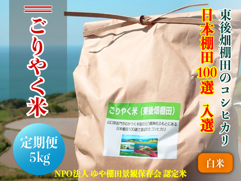 
(1604)【定期便】※令和6年度産先行予約※ お米 コシヒカリ 白米5kg「ごりやく米」 棚田米 東後畑 毎月年6回
