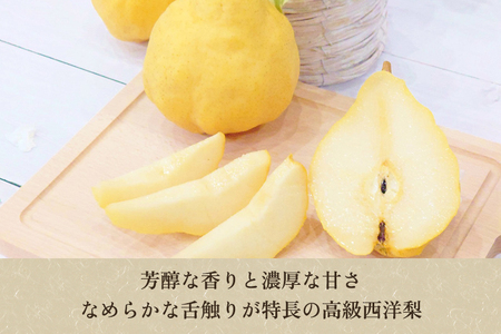 【2025年先行予約】 たかはし果樹園 謹製 新潟特産 幻の洋梨ル・レクチェ 厳選品 約4kg 《11月下旬以降配送》 果物 フルーツギフト 冬の味覚 産地直送加茂市 たかはし果樹園 ルレクチェ 洋梨