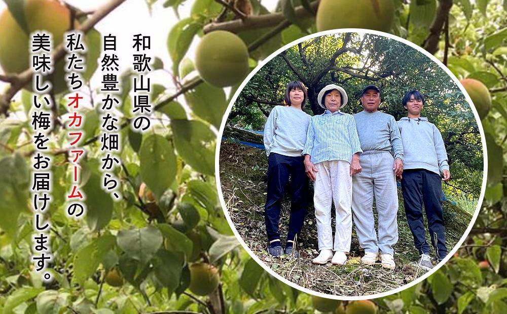 紀州南高梅使用 はちみつ うす塩味 完熟梅干し 無選別 約800g [TM198]