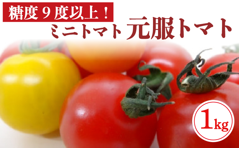 赤崎元服トマト フルーツトマト 1kg 野菜 ミニトマト [56500347]
