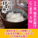 【ふるさと納税】★令和5年産★2010年・2016年 お米日本一コンテスト inしずおか 特別最高金賞受賞土佐天空の郷　にこまる　5kg　毎月お届け全3回　定期便・米・にこまる・特別最高金賞受賞・棚田米・大粒・ツヤ・コク・柔らかい・モチモチ