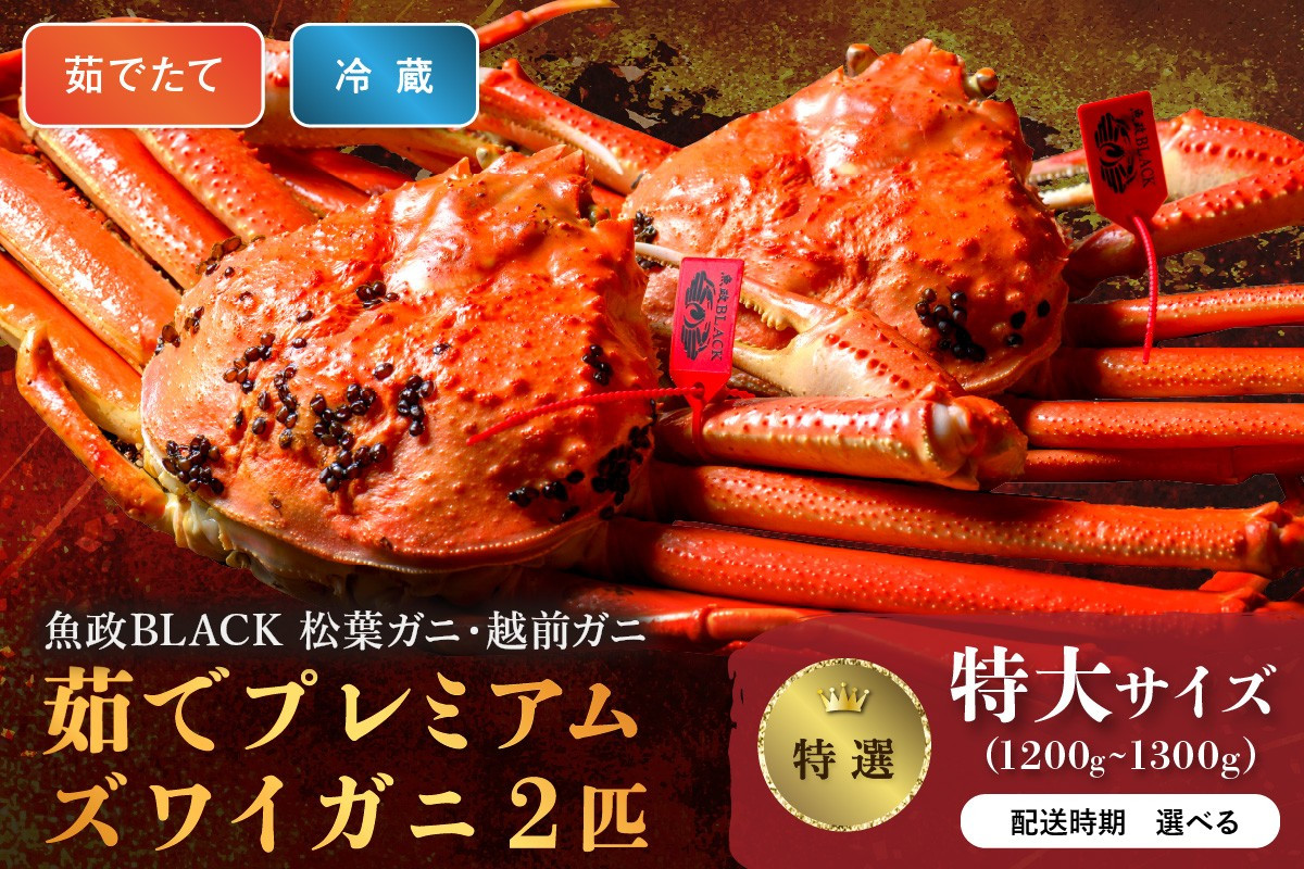 
            【蟹の匠 魚政】茹で　プレミアムズワイガニ 魚政BLACK（松葉ガニ・越前ガニ）特撰 特大サイズ（1200～1300g） 2匹セット　松葉蟹 蟹 かに カニ ガニ がに ボイル 海産物 甲殻類 海の幸 まるごと　UO01308・UO01309
          