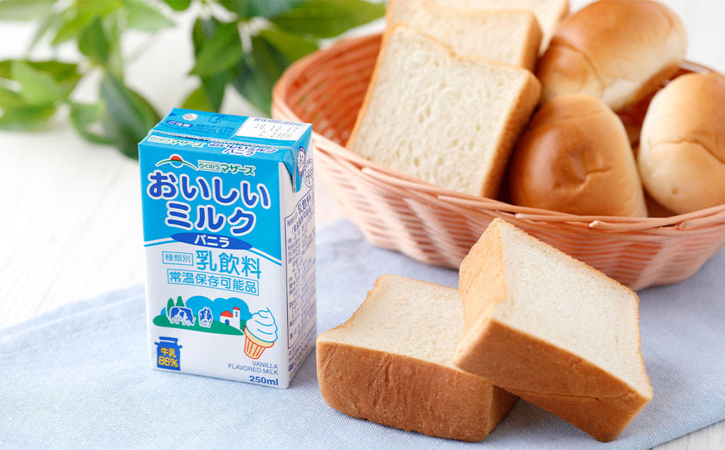 おいしいミルクバニラ 250ml 計48本