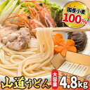 【ふるさと納税】島原 手延べうどん 山道うどん 国産小麦100％ 160g×30袋 4.8kg / 麺 乾麺 うどん / 南島原市/ そうめんの山道[SDC011]