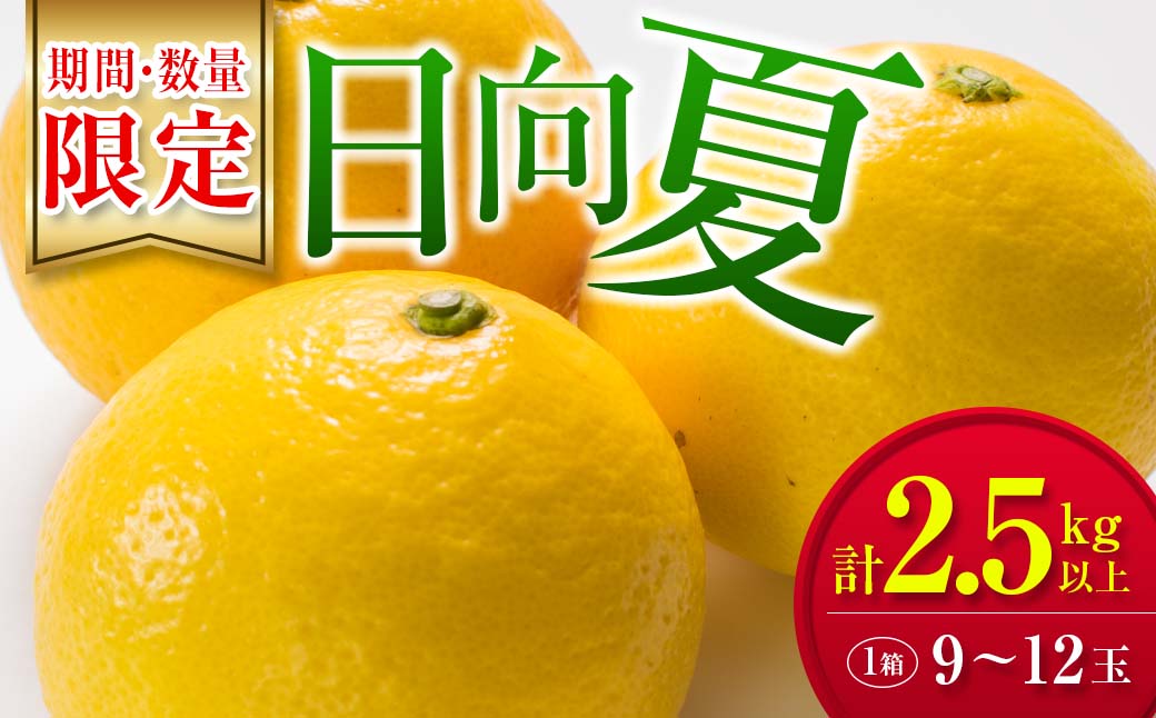 毎年大好評!!宮崎を代表するフルーツ 日向夏 計2.5kg以上 化粧箱入り 期間限定 数量限定 先行予約 2026 令和8年発送 果物 くだもの 柑橘 みかん みかんジュース デザート 国産 食品 おすすめ ギフト 贈り物 贈答 おすそ分け お祝い 宮崎県 日南市 送料無料_B214-23