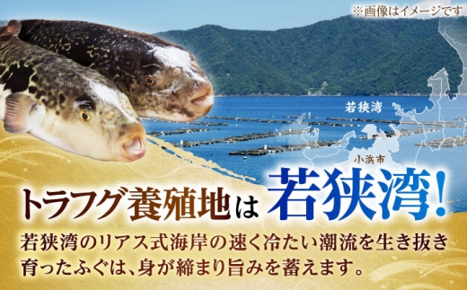 若狭ふぐ 特選 鍋 刺身 セット [冷蔵](未冷凍) 4人前｜【TVで紹介されました : 旅サラダ】 てっさ てっちり （とらふぐ 刺身）福井県産 産地直送 【配送不可地域：北海道・沖縄・離島】  [