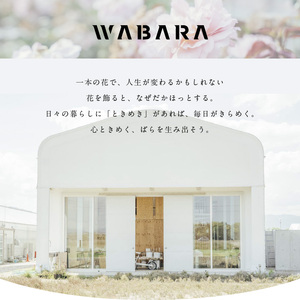 わばら花束S-ROSE CHARLOTTE PERRIAND