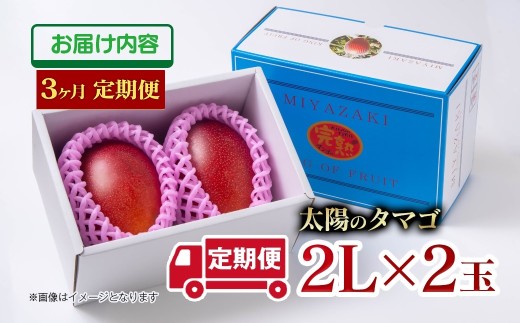 【3ヶ月定期便】最高級ブランド『太陽のタマゴ』2Lサイズ2個入り【糖度15度以上】宮崎県西都市産完熟マンゴー＜11-7＞宮崎完熟マンゴー 果物 フルーツ 甘い【先行予約】2026年発送