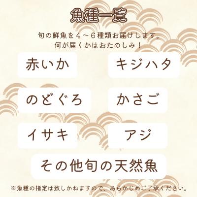 ふるさと納税 下関市 旬 鮮魚 ボックス 約 3kg 下処理 済 詰め合わせ セット 刺身 下関 山口 IA102 |  | 01