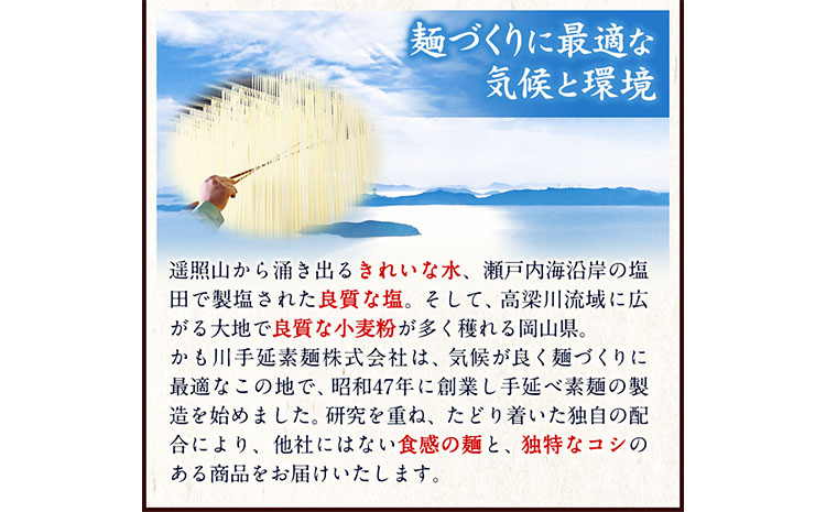 うどん 手延べうどん 200g×20袋 4kg かも川手延素麺株式会社《30日以内に発送予定(土日祝除く)》岡山県 浅口市 紙箱入 お土産 送料無料 麺 小麦 粉もの