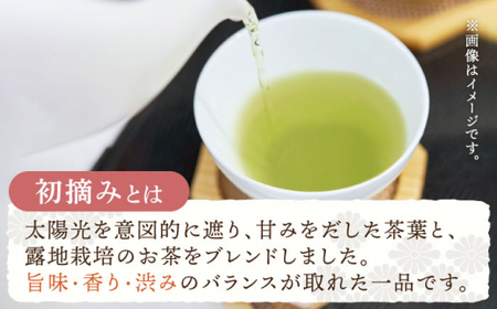 【全6回定期便】「こだわりブレンド茶」さざの 有機栽培茶 初摘み (100g×3本/回)【宝緑園】[QAH014]