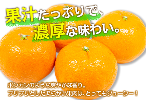 先行予約 数量限定 津之輝 つのかがやき 2kg以上 (2kg×1箱) フルーツ 果物 くだもの 柑橘 みかん 国産 食品 おすすめ ギフト 贈り物 贈答 プレゼント お返し お祝い 記念日 デザート