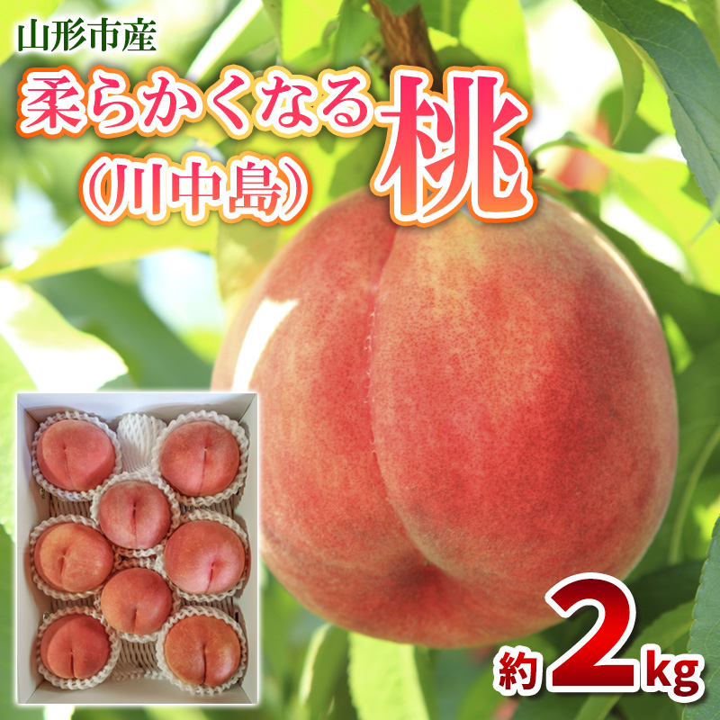 柔らかくなる桃 特秀 約2kg (6～9玉) [川中島] FY25-295