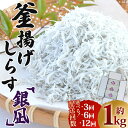 【ふるさと納税】【定期便】釜揚げしらす「銀凪」約1kg（約350g入り×3袋）選べる定期回数：3回/6回/12回 - 小魚 さかな シラス かまあげ 魚介 シーフード 特産品 海産物 新鮮 ご飯のお供 おつまみ 国産 海の幸 小分けパック ヤマナカ水産 高知県 香南市【冷凍】Rym-0015