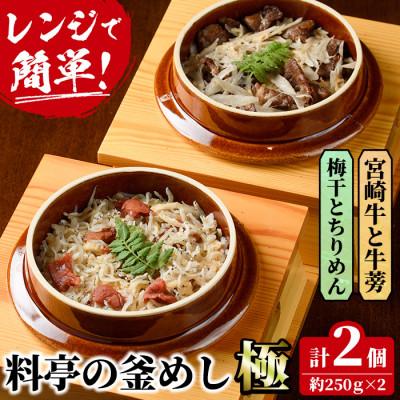 ふるさと納税 門川町 料亭の釜めし・極【宮崎牛と牛蒡】【梅干しとちりめん】