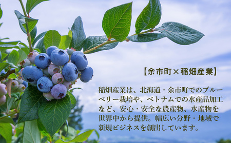 ◆ふるさと納税限定◆ブルーベリーワイン 2016 ＜アイケイファーム余市＞_Y020-0100