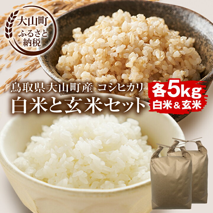 【ふるさと納税】【令和8年10月以降発送新米】MS-108 大山町産こしひかり【大山の一粒】「白米」と「玄米」セット（各5kg 計10kg） 鳥取県 鳥取県産 大山町 大山 大入り 料理 国産 鳥取 コシヒカリ こしひかり 大山産