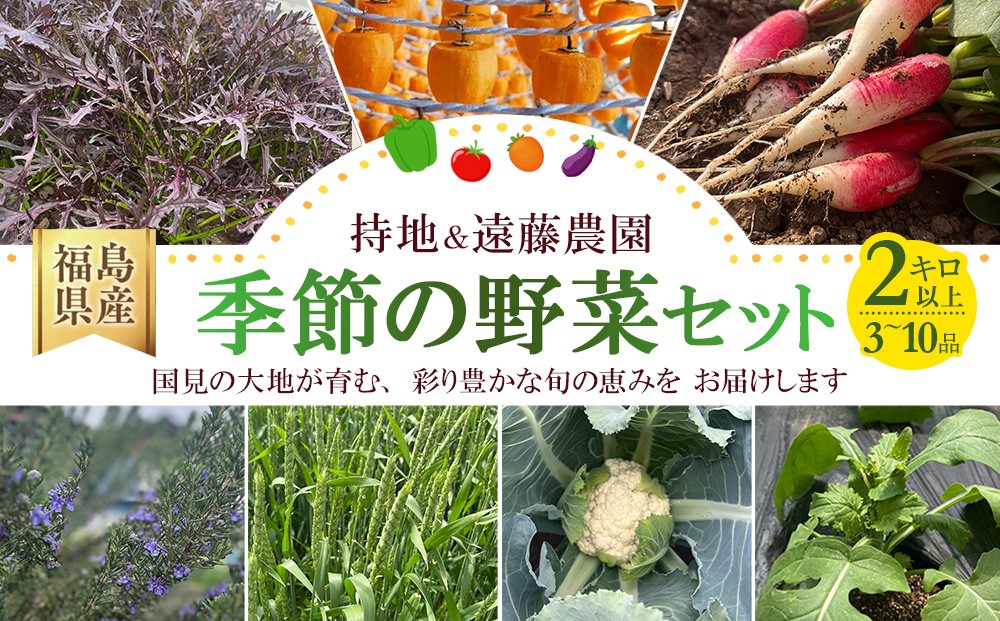 
                  季節の野菜セット 3〜10品 2キロ以上 | 詰め合わせ 野菜 新鮮 料理 旬 季節 セット 福島県 国見町 持地＆遠藤農園
                