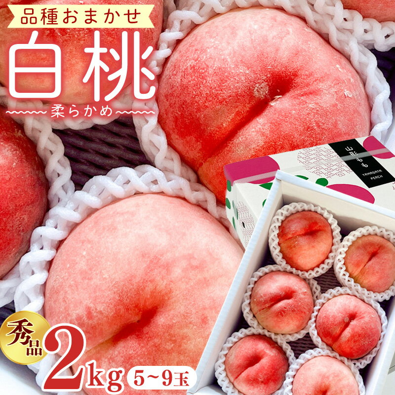 【ふるさと納税】【先行予約】令和8年産 白桃 柔らかめの桃 秀品 2kg ( 5玉 - 9玉 ) 品種おまかせ 山形県産【2026年8月上旬頃から下旬頃発送予定】※配送不可 沖縄・離島 2026年産 フルーツ 果物 果実 山形産