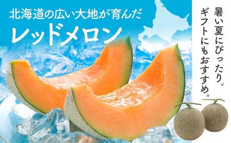 【先行予約】 香り豊かな　北海道レッドメロン 1.3kg～1.6kg×2玉(2024年7月下旬発送予定)
