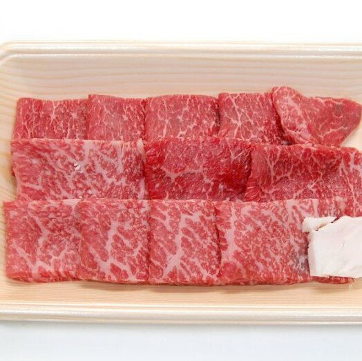 【ふるさと納税】飛騨市産 5等級飛騨牛 焼肉用 300g ギフト