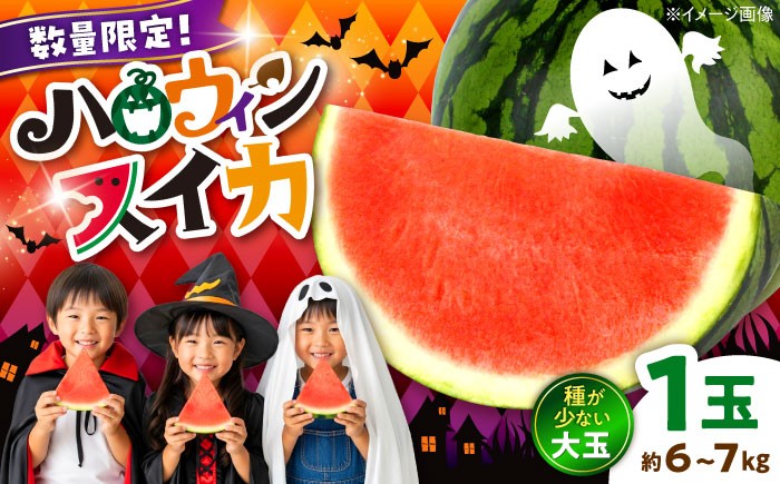 
                  【先行予約】【2026年10月上旬より順次発送】【数量限定】 熊本 ハロウィンすいか 1玉（約6～7kg） 大玉 秋すいか スイカ 秋 ハロウィン  【一般社団法人クラッシーノこうし】 [AYAB031]
                