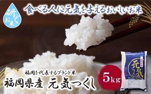 W17-25 【新米】令和7年産 研ぐお米 元気つくし5kg お米 米 こめ コメ 精米 ブランド米 白米 人気 おすすめ 元気つくし げんきつくし 福岡県産米 食料品 福岡県