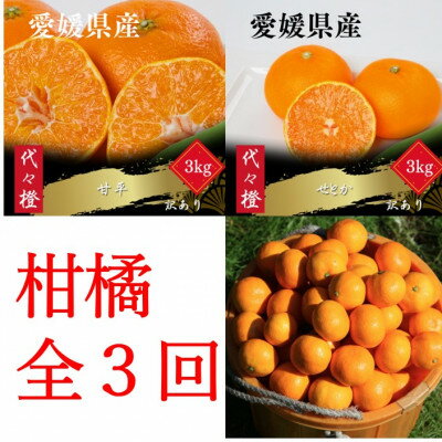 【ふるさと納税】【発送月固定定期便】【訳あり】甘平 せとか みかん【H83-51】全3回【4068840】