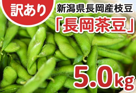 75E-B5A【訳あり】新潟長岡産枝豆長岡茶豆5.0kg【B品】
