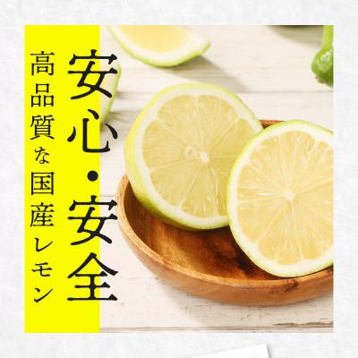 ふるさと納税 高松市 【先行受付2026年】レモン　約5kg |  | 01