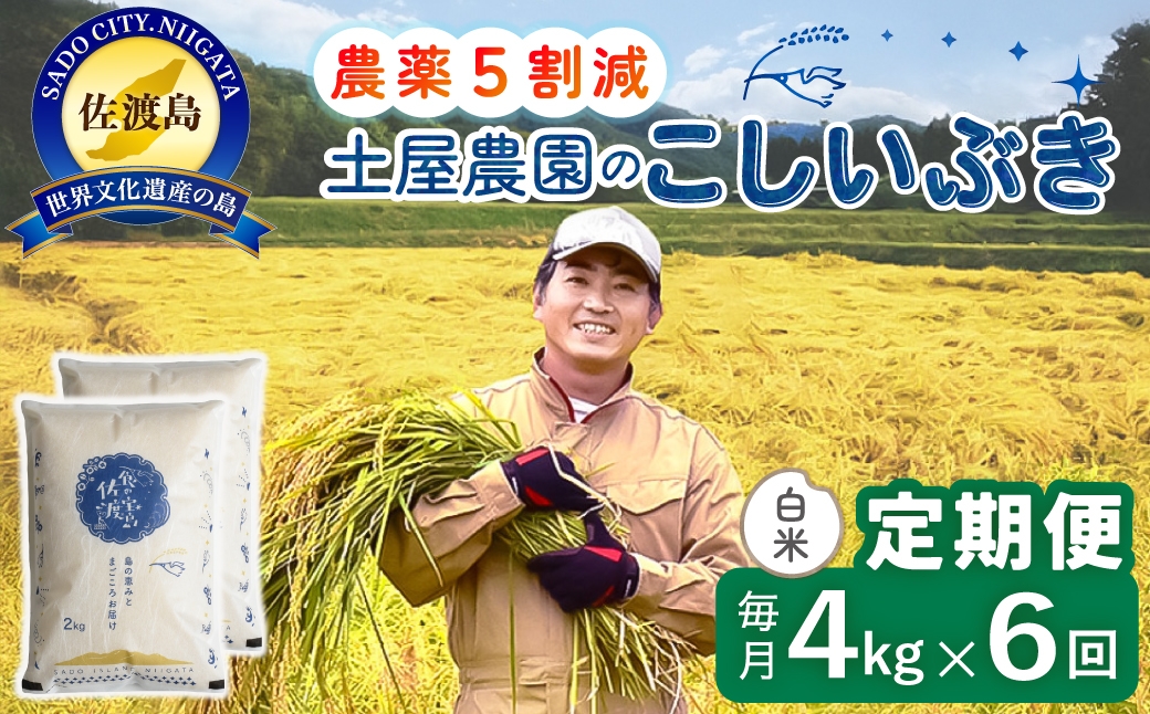 
                  【定期便 令和8年産新米 6か月】 佐渡島産こしいぶき 白米 4kg(2kg×2袋） 令和8年産新米 栽培期間中農薬5割減/農薬5割減 土屋農園 | 新潟県産こしいぶき 新潟産こしいぶき 佐渡産こしいぶき こしいぶき お米 米 白米 精米 おこめ コメ 4キロ にいがた さど 新潟県 佐渡市
                