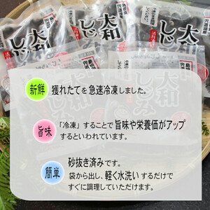 宍道湖産 冷凍 しじみ 約1.2kg（250g×5袋））| しじみ