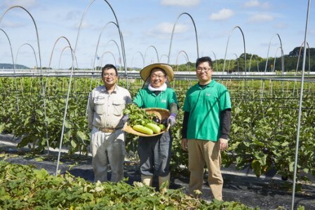 漬物 京つけものもり 8種 お漬物
