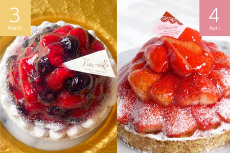 ケーキ タルト 1ホール 12cm 12種 食べ比べ 各回1ホール 3回 定期便 総計3ホール [心優-Cotoyu sweets- 長崎県 平戸市 hr42bjo490222]