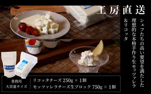 リコッタチーズ 250g 1個 & モッツァレラチーズ生ブロック 750g 1個 リコッタ モッツァレラブロック 冷蔵 サラダ  お菓子    低温殺菌 新鮮 国産 乳製品 無添加 業務用サイズ  飛