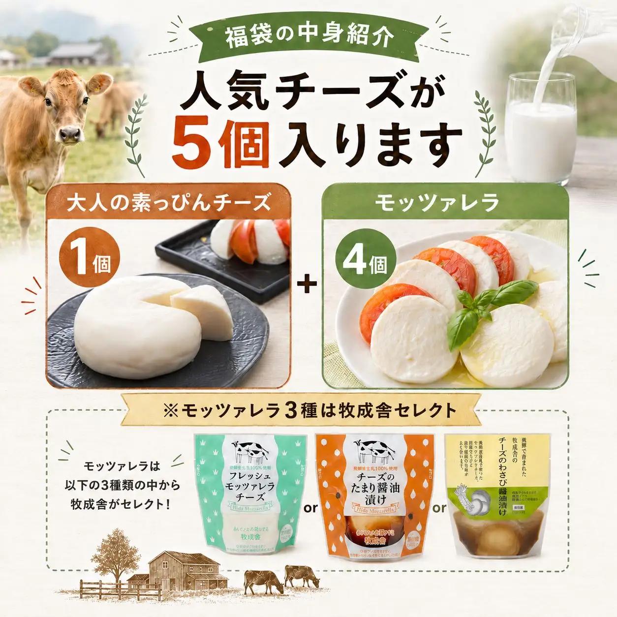 訳ありチーズ福袋 牧成舎 福袋 [Q3241]
