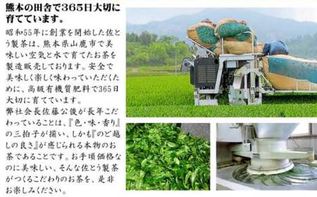 【数量限定】深蒸し茶 上級茶 詰合せ 100g×5本セット 【有限会社 佐とう製茶】[ZAS001]