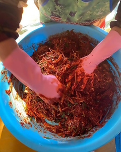 旬野菜で作るうめちゃんの自然派キムチ　おまかせ２種