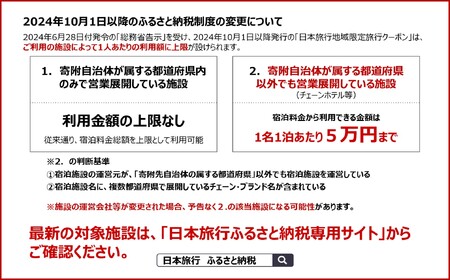 A111　山口市宿泊プランコーディネート券（300000円分）日本旅行 地域限定旅行クーポン