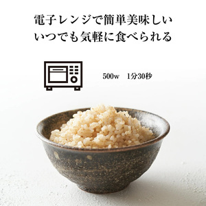 玄米 ごはん 夢つくし  PREMIUM パックごはん 160g×24食 M543