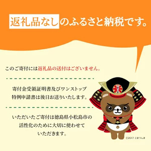 徳島県小松島市 【 返礼品なしの寄附】1000円 ～ 3,000,000円 応援寄附金 応援 支援 災害 子育て 1口 1000円から ふるさと納税 観光徳島 小松島 寄付 南海トラフ 巨大 地震 津