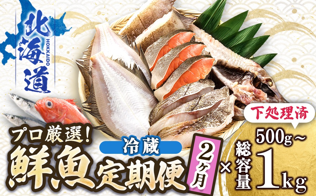 【定期便 2ケ月連続】プロ厳選 北海道産 天然 鮮魚セット ＜冷蔵＞ 500g～1kg ｜ 鮮魚ボックス 詰め合わせ 鮮魚 生食 刺身 下処理 切り身 料理に 定期便も人気 2回 ヒロセ 産地直送 魚介 海鮮 魚介 海鮮定期便 北海道 釧路町 釧路超
