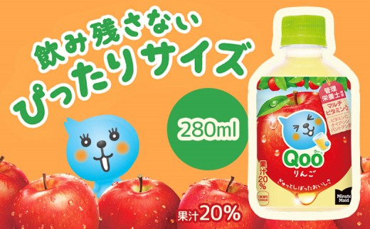 【定期便：全5回】ミニッツメイド Qoo りんごPET　280ml×24本