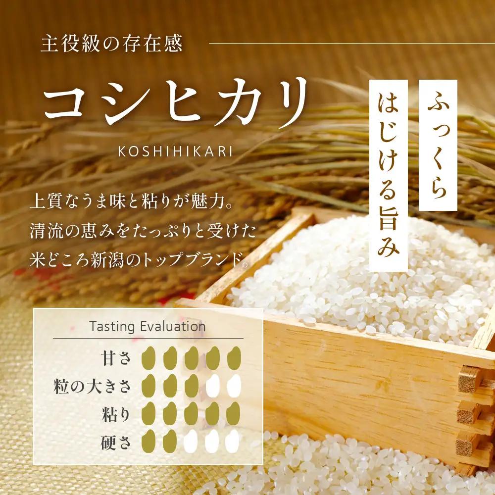 米 令和8年産【無洗米】新潟県産 コシヒカリ 2kg