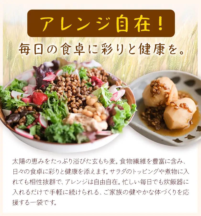 もち麦 玄もち麦 1kg 自然野菜のら
