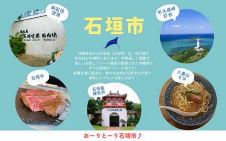 石垣市に泊まるふるさと納税旅行クーポン【3,000円分】｜沖縄県 石垣市 石垣島 八重山 旅行 クーポン 旅行クーポン 電子クーポン 日本空輸 NK-1