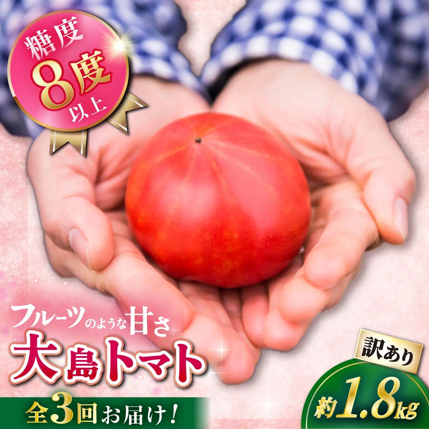 先行予約 3回定期便 訳あり 大島トマト 1.8kg CCK008 トマト