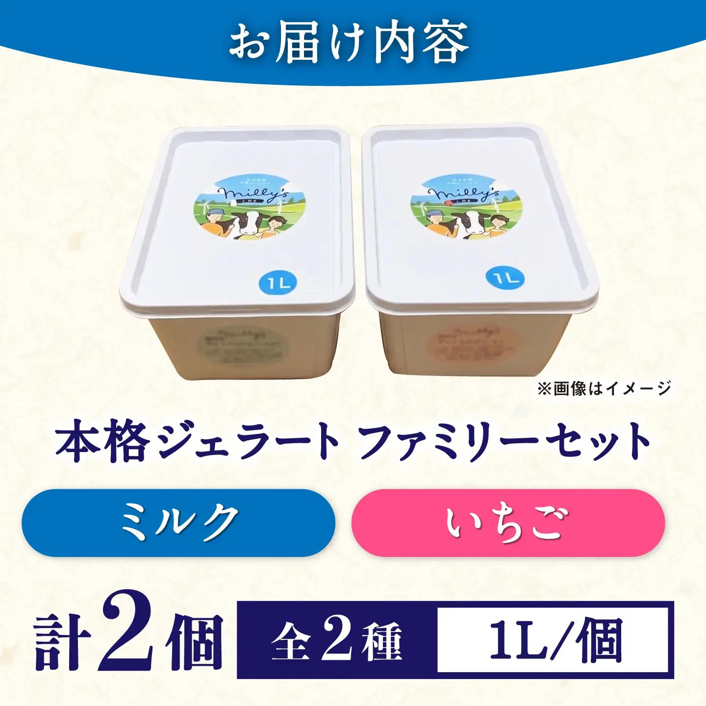 本格ジェラート ファミリーセット 1L×2個 / ジェラート アイス アイスクリーム ギフト 贈答 / 佐賀県 / 松本アイス工房[41AOAA005]