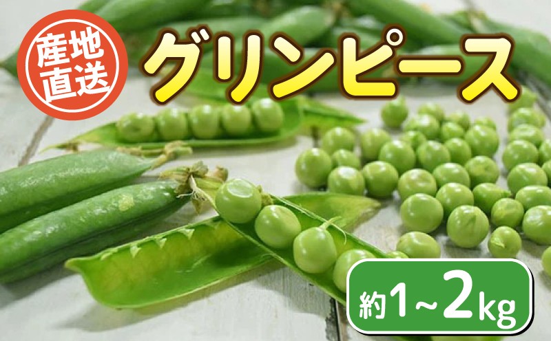 
                  グリンピース 選べる 容量 約1kg ~ 2kg  栽培期間中農薬不使用 野菜 豆 惣菜 サラダ 産地直送  健康 下関 山口
                
