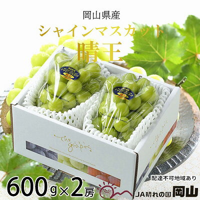 【ふるさと納税】ぶどう 2026年 先行予約 シャイン マスカット 晴王 約600g×2房 8月下旬～11月下旬発送 ブドウ 葡萄 岡山県産 国産 フルーツ 果物 ギフト 　お届け：2026年8月下旬～2026年11月下旬